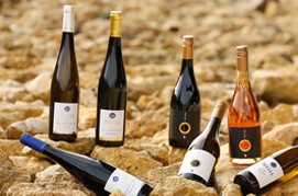 Wijn en Champagne